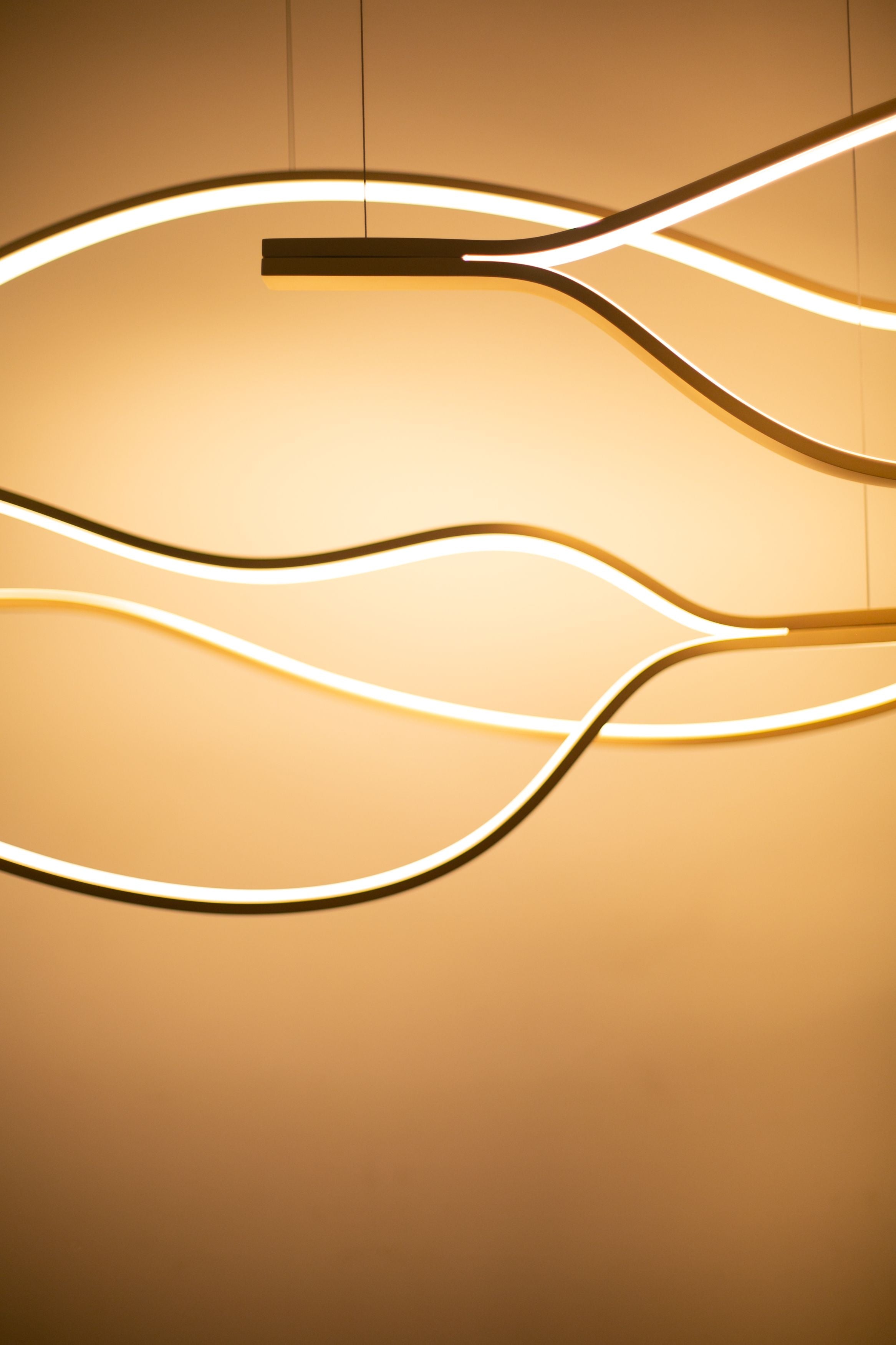 Organic wave pendant lamp