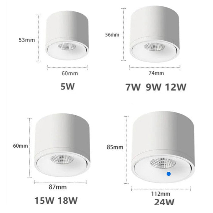 Modern Surface Mounted Ceiling Light Directional Rotating Spotlight