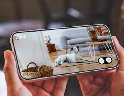 Smart security camera with spotlight function and two-way audio