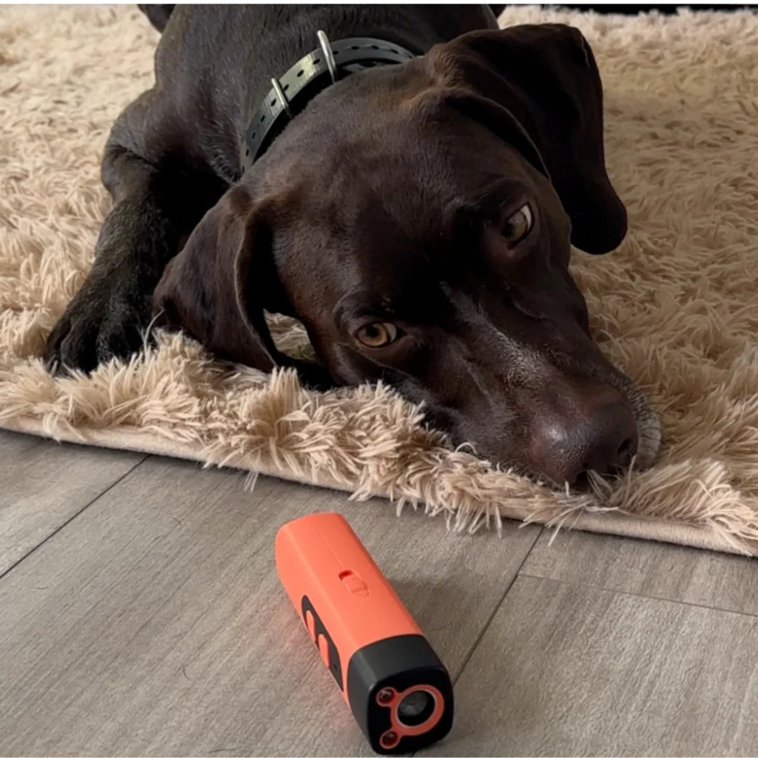 Portable Ultrasonic Bark Control Gentle Training Solution for Dogs