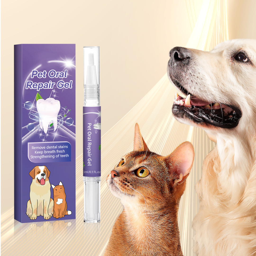 Pet Dental Cleaning Pen Simple Oral Hygiene for Healthy Smile