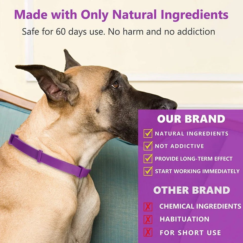 Calming Collar for Dogs and Cats Natural Stress Relief & Anxiety Support