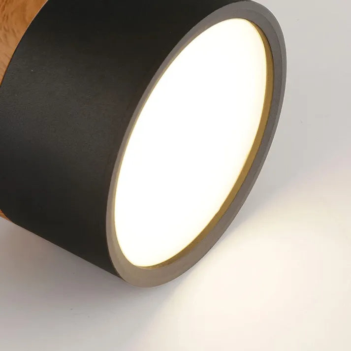 Minimalist Cylindrical LED Ceiling Light with Modern Dimmable Spotlight
