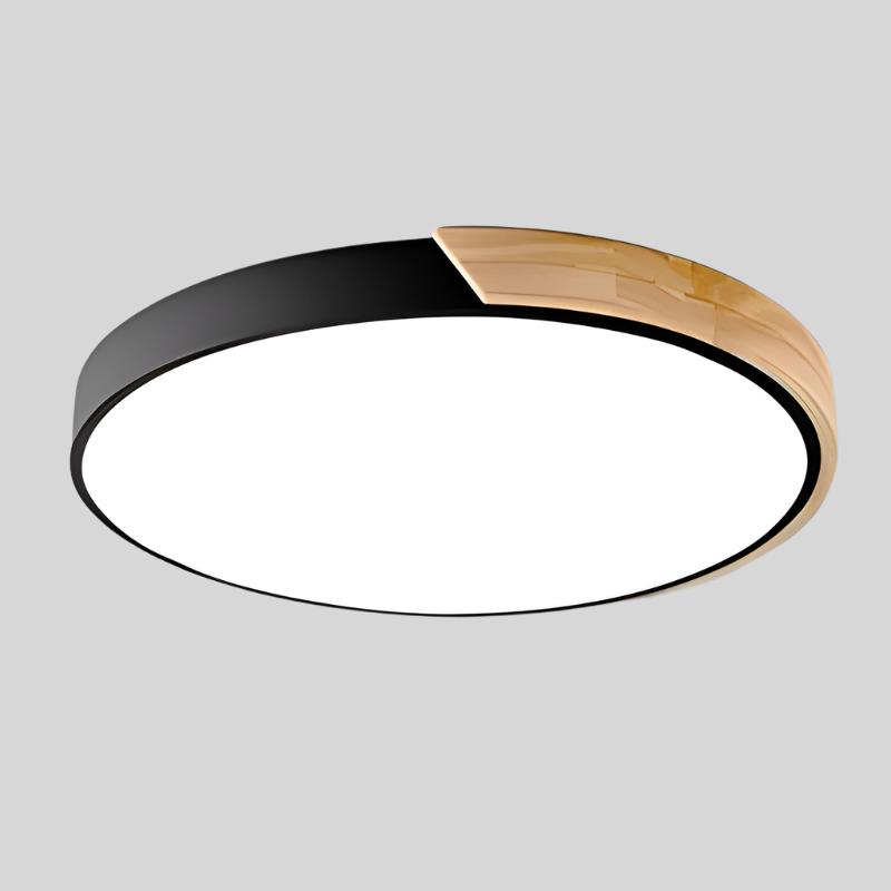 Minimalist Modern Round LED Flush Ceiling Light