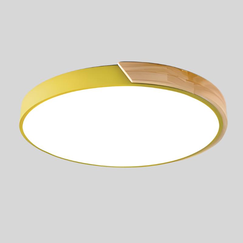Minimalist Modern Round LED Flush Ceiling Light