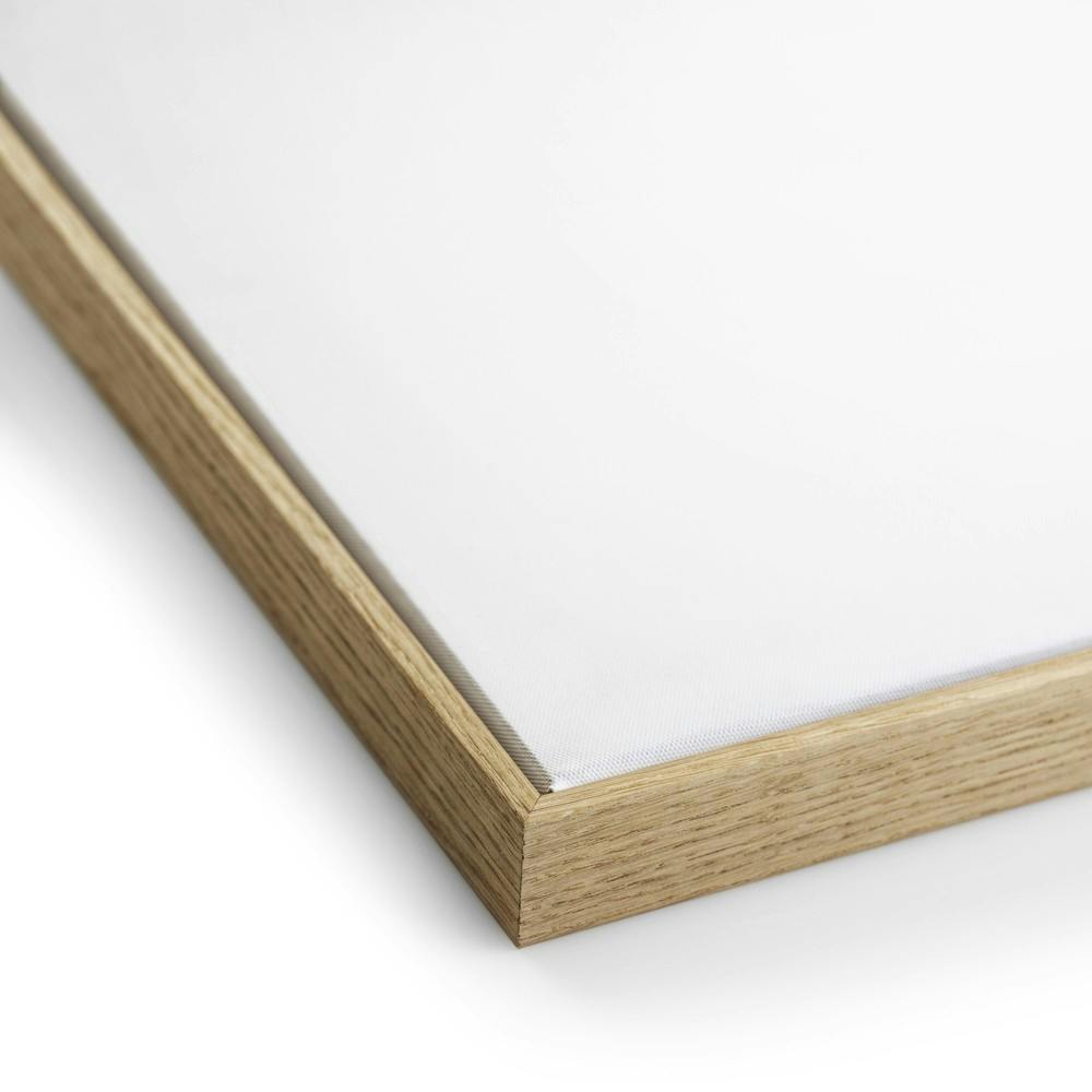 Lunara Abstract Wanddecoratie met Organische Vormen en Houten Lijst