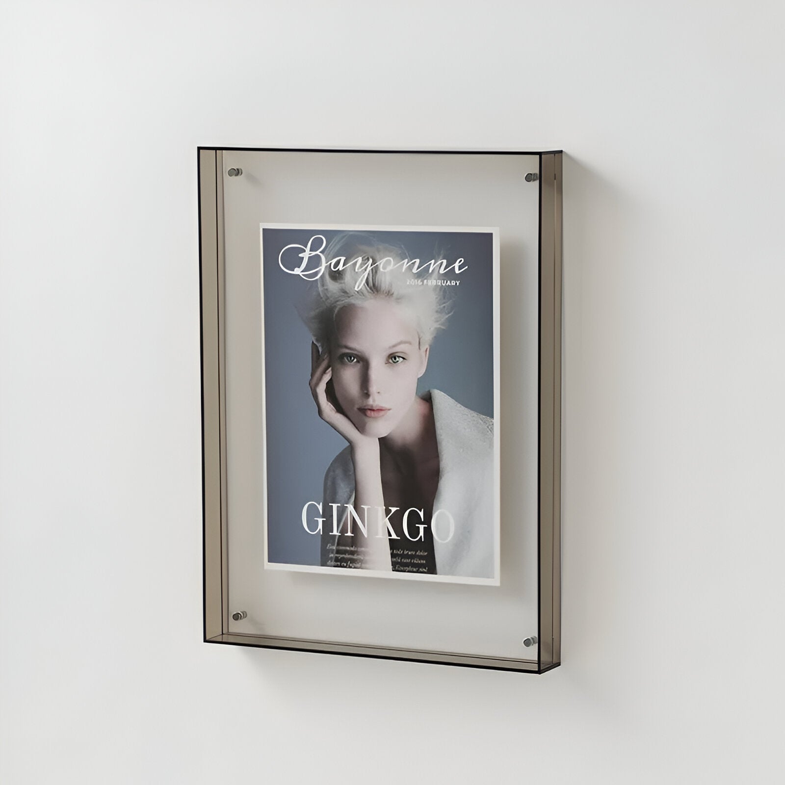Coloured Transparent Acrylic Photo Frame Modern Minimalist Display Frame