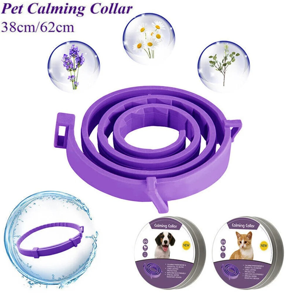 Calming Collar for Dogs and Cats Natural Stress Relief & Anxiety Support