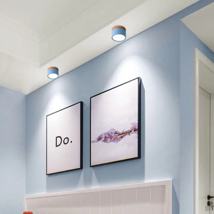 Minimalist Cylindrical LED Ceiling Light with Modern Dimmable Spotlight