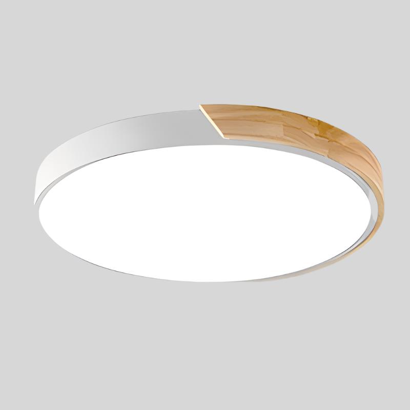 Minimalist Modern Round LED Flush Ceiling Light