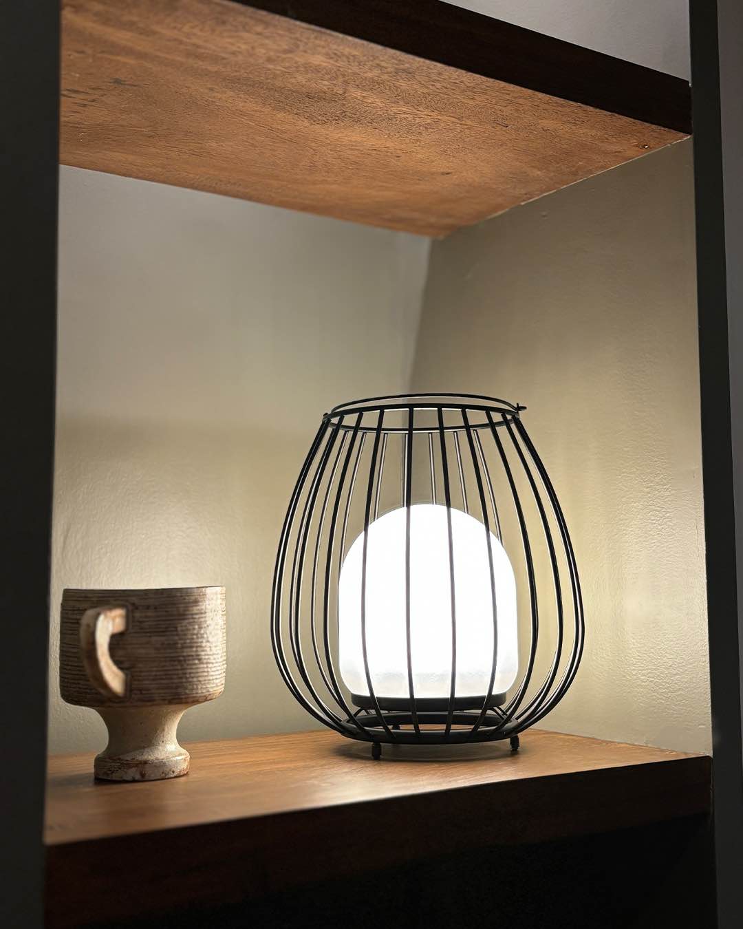 Portable outdoor lamp with cage design and ambient light function