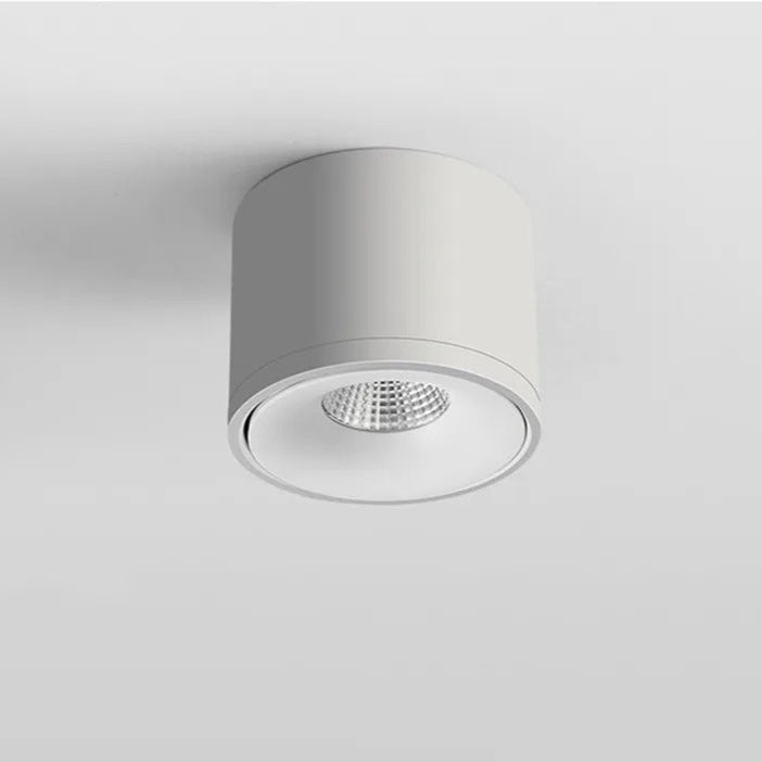 Modern Surface Mounted Ceiling Light Directional Rotating Spotlight