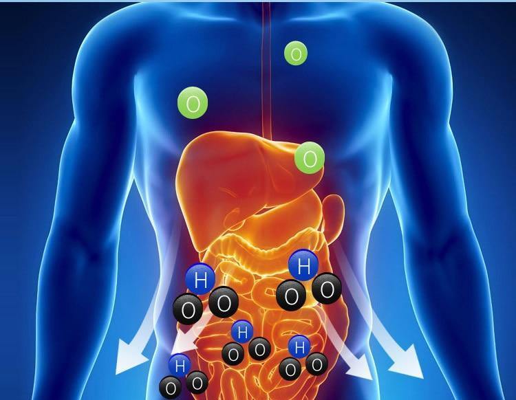 Smart Hydrogen Water Bottle Fast Alkaline Ionizer for Healthy Hydration