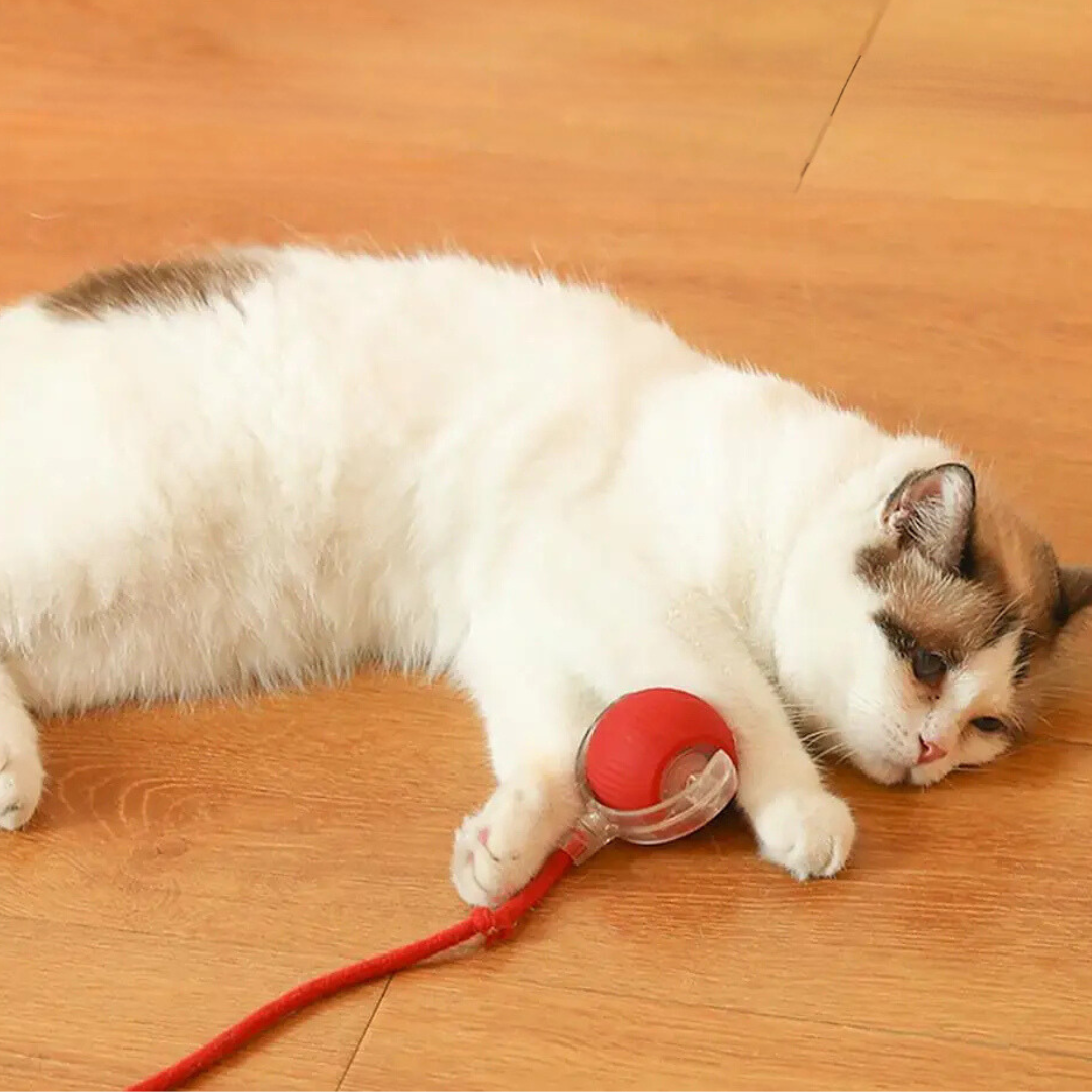 Interactive Cat Toy with Moving Tail Stimulating Rolling Ball for Active Cats