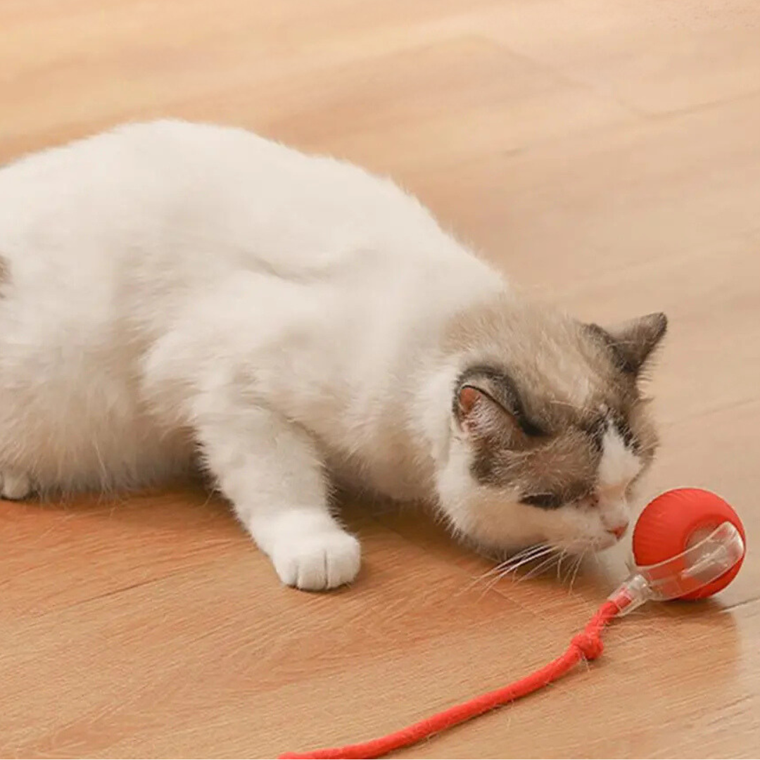 Interactive Cat Toy with Moving Tail Stimulating Rolling Ball for Active Cats