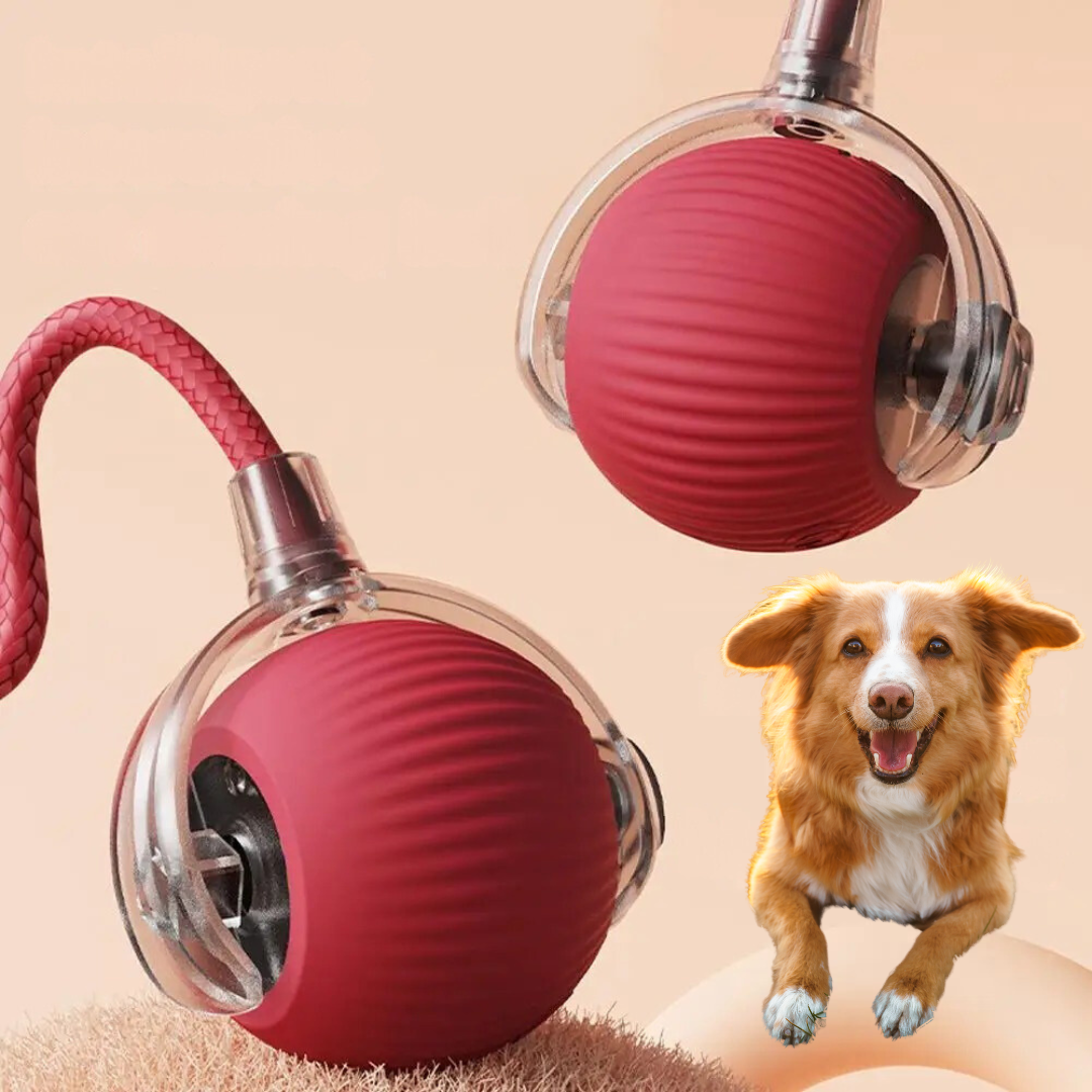 Interactive Rolling Dog Ball with Fun Tail
