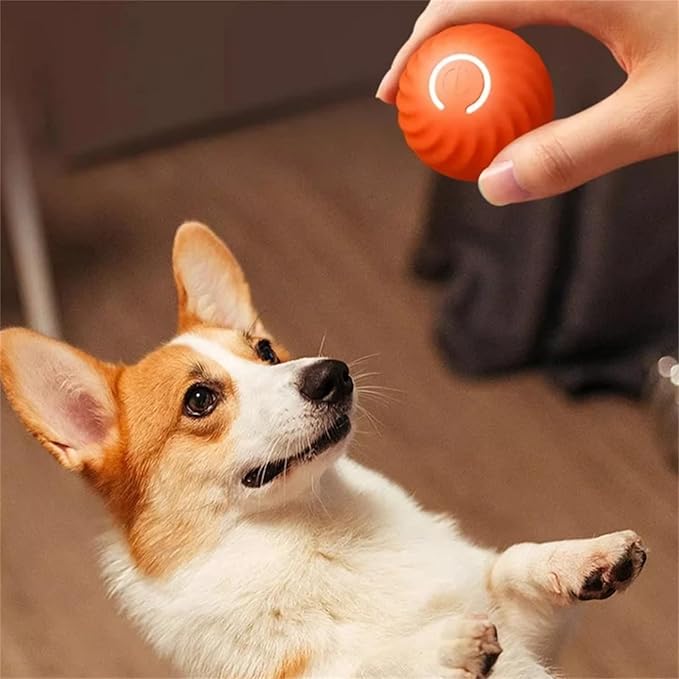 Smart Interactive Dog Ball Rechargeable Toy for Active & Happy Pets