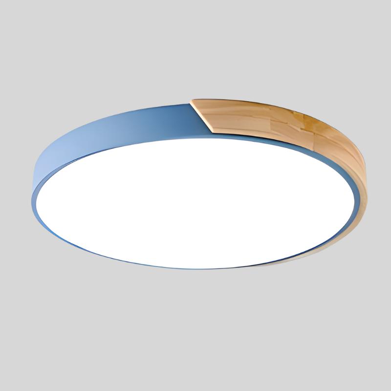 Minimalist Modern Round LED Flush Ceiling Light