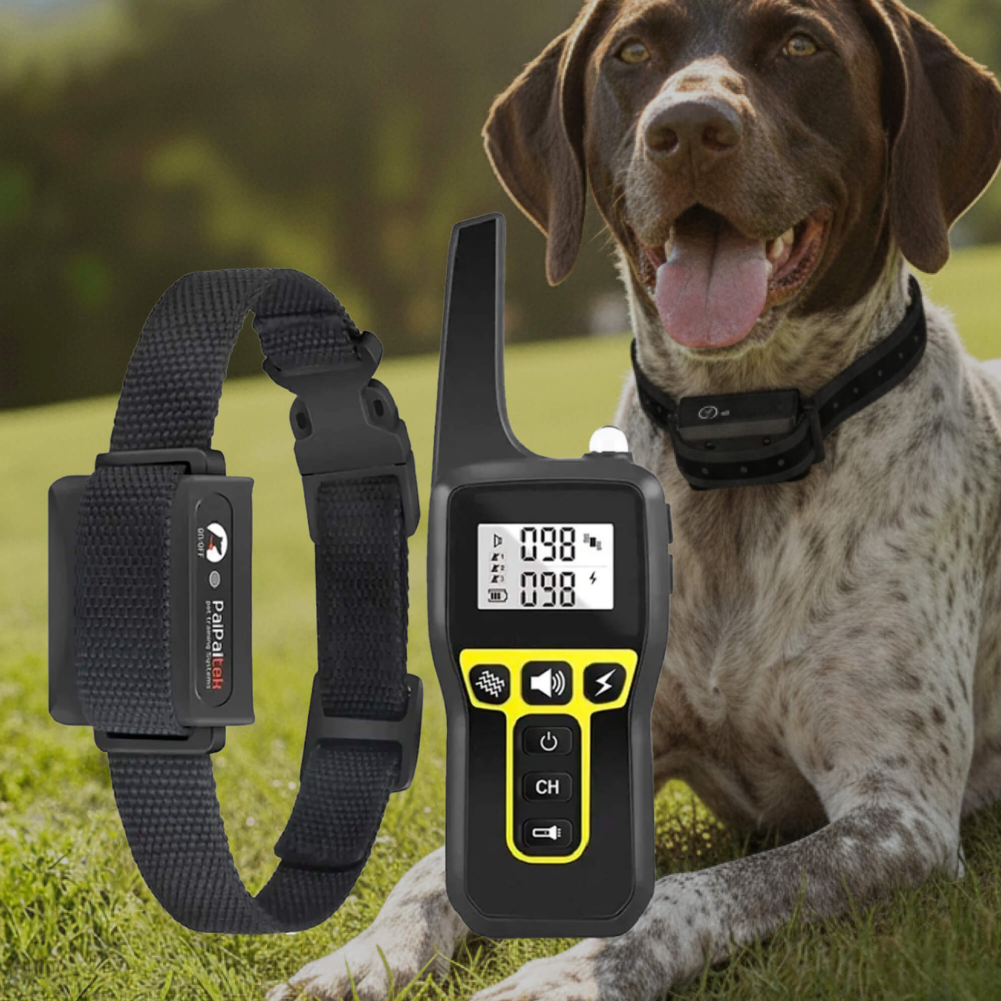 Dog Training Collar Long-Range Waterproof Remote for All Dog Sizes