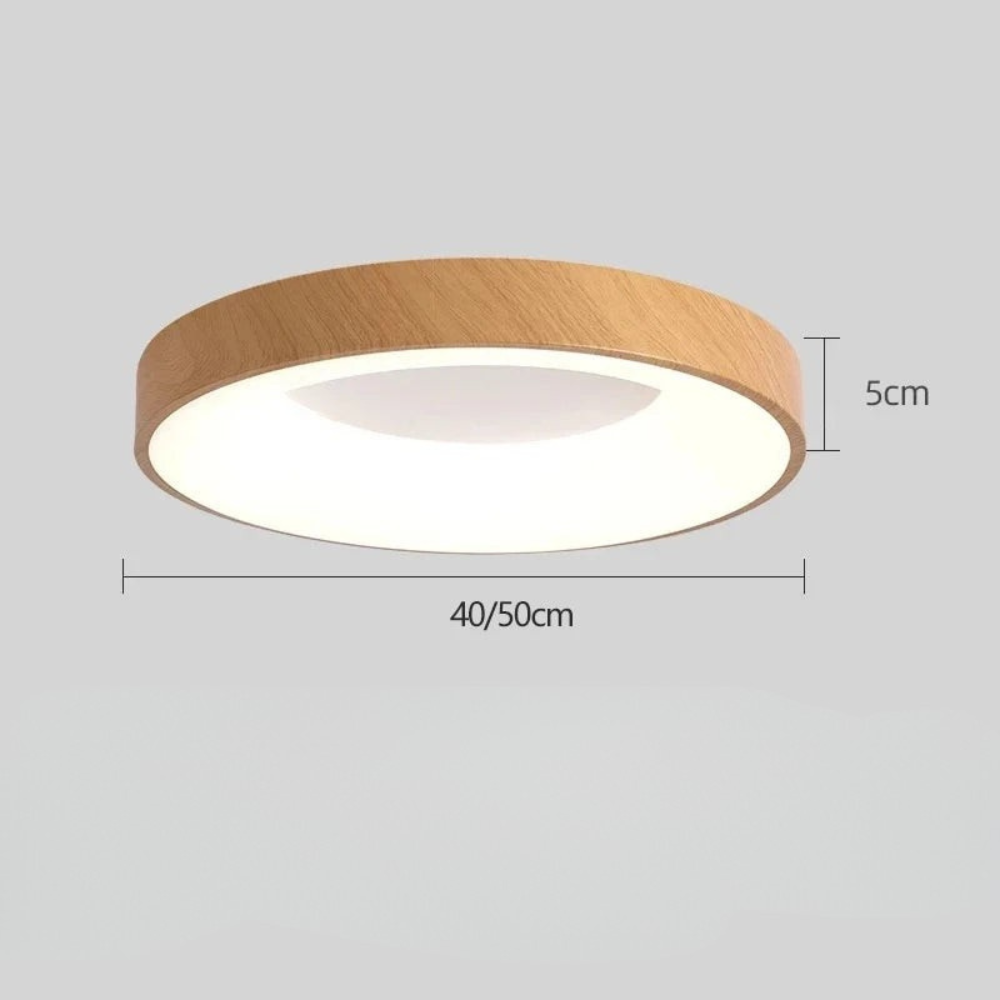 Nordic Round LED Ceiling Light Fixture for Living Room
