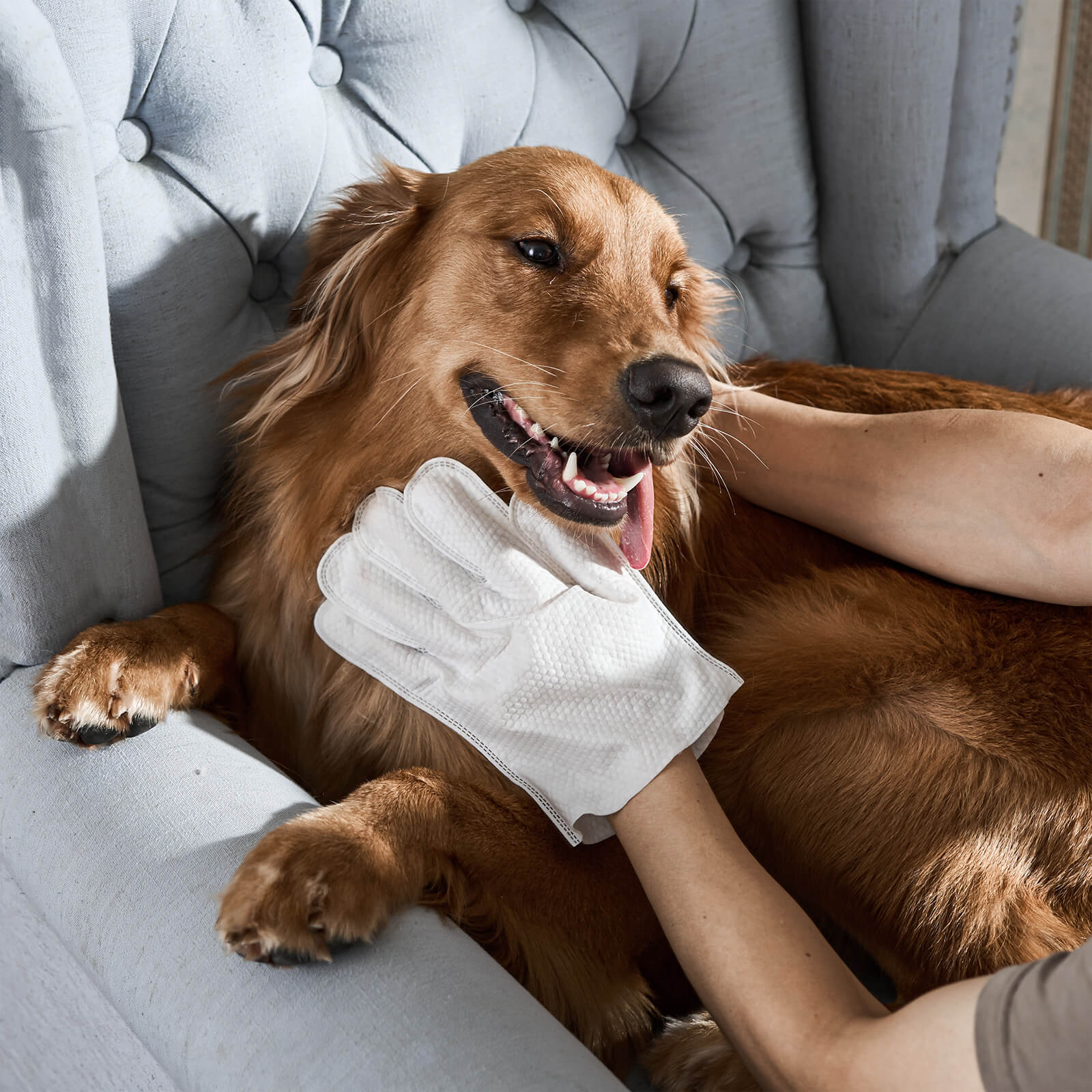 Pet Cleaning Gloves Fast & Gentle Wipes for Everyday Hygiene