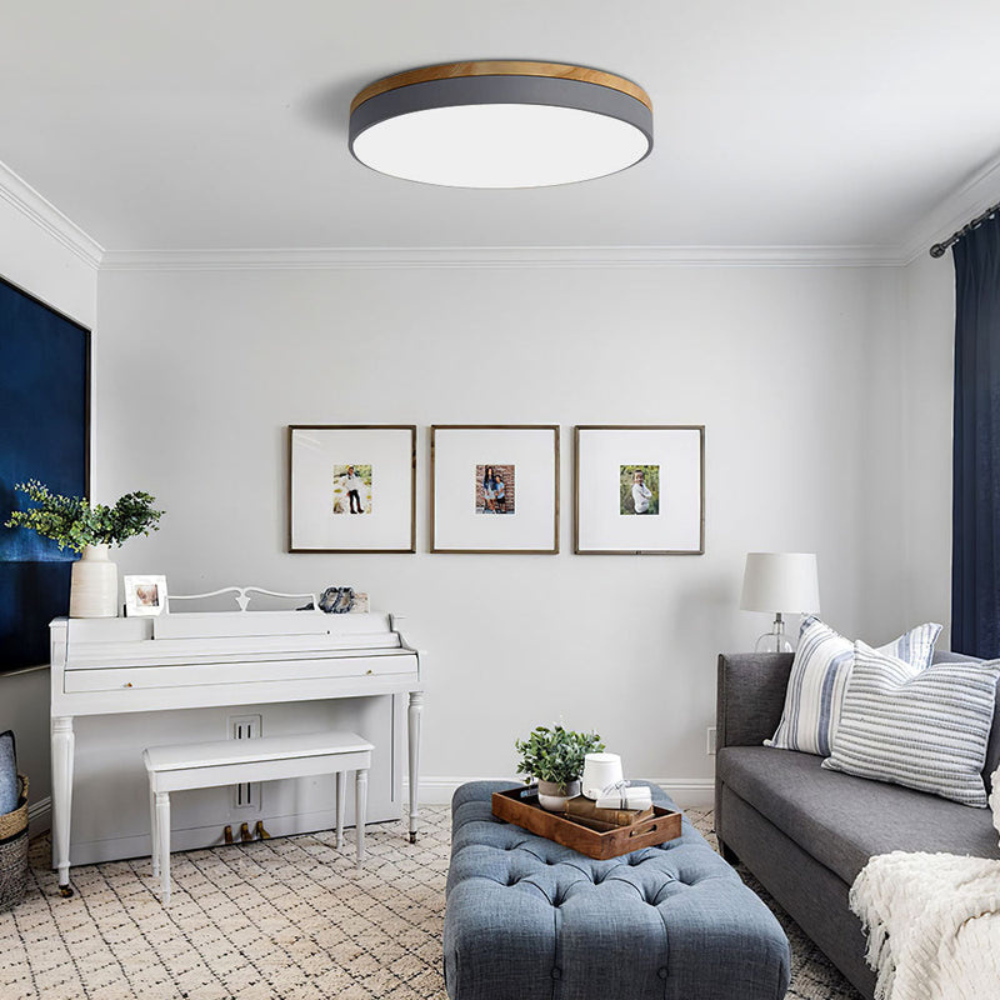 Flush Mount Ceiling Light Round Disc Design for Modern Interiors