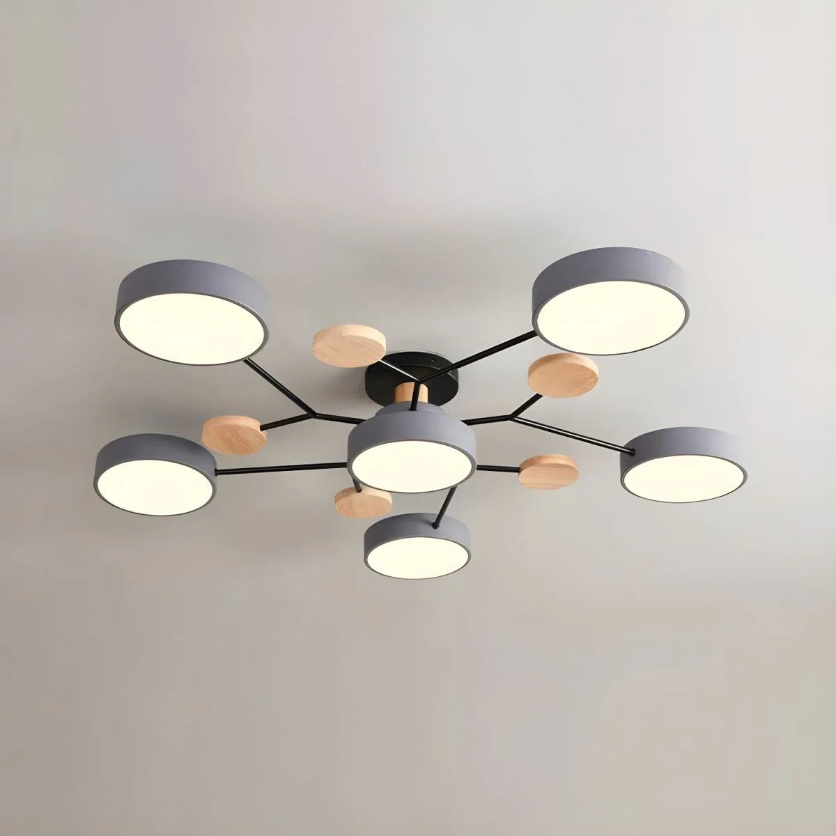 Ceiling Light Modern LED Flush Mount Chandelier