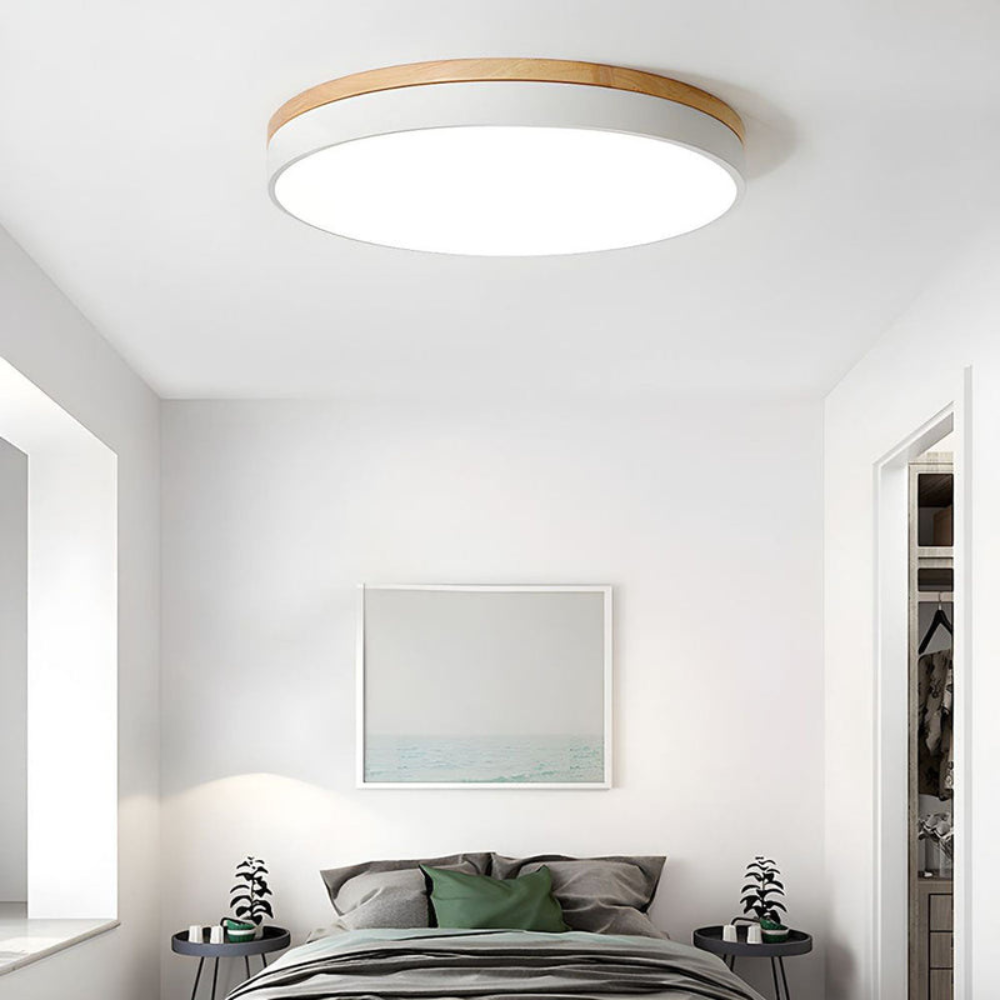 Flush Mount Ceiling Light Round Disc Design for Modern Interiors