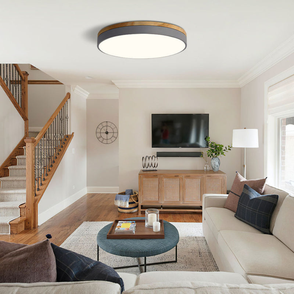 Flush Mount Ceiling Light Round Disc Design for Modern Interiors