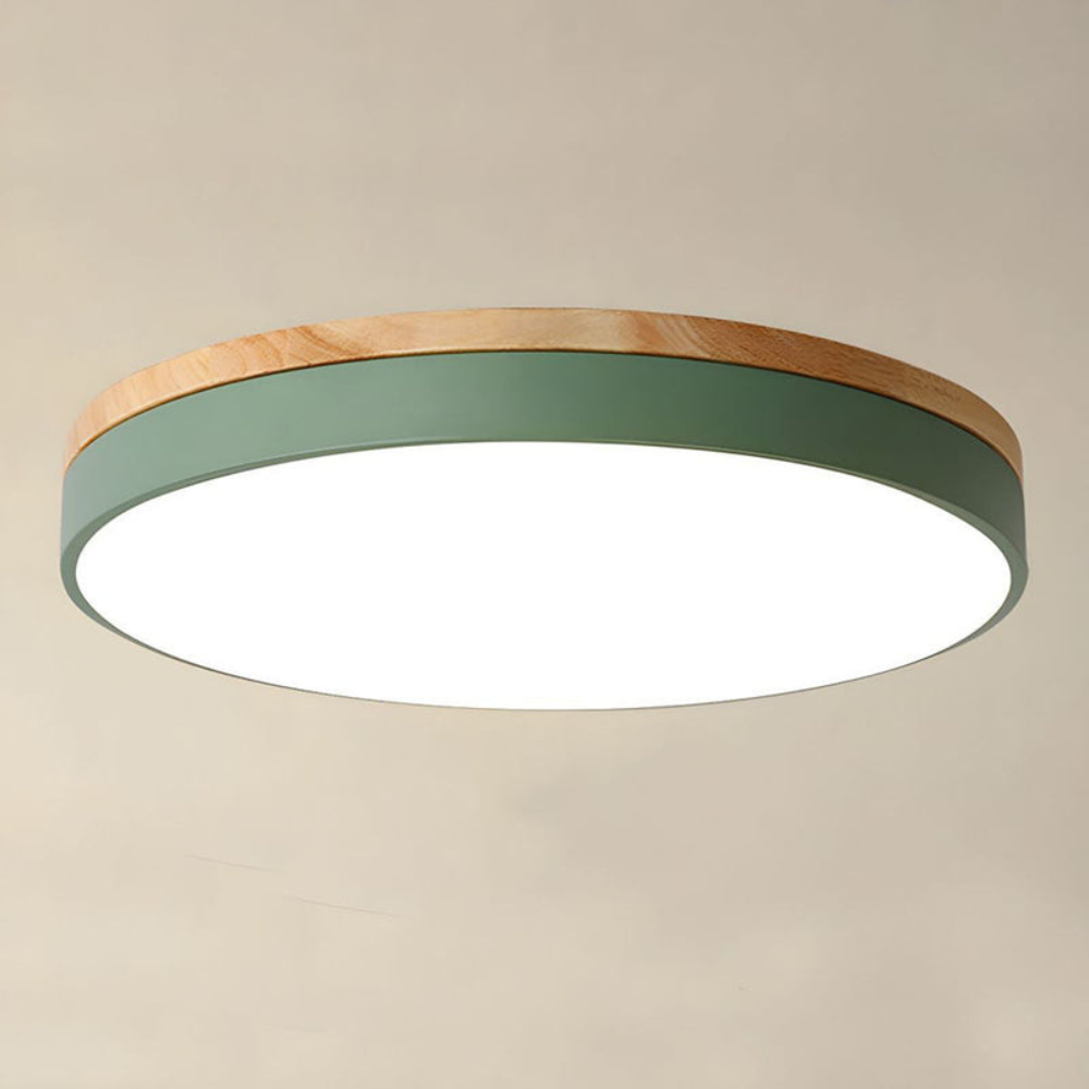 Flush Mount Ceiling Light Round Disc Design for Modern Interiors