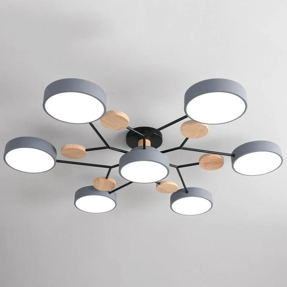 Ceiling Light Modern LED Flush Mount Chandelier