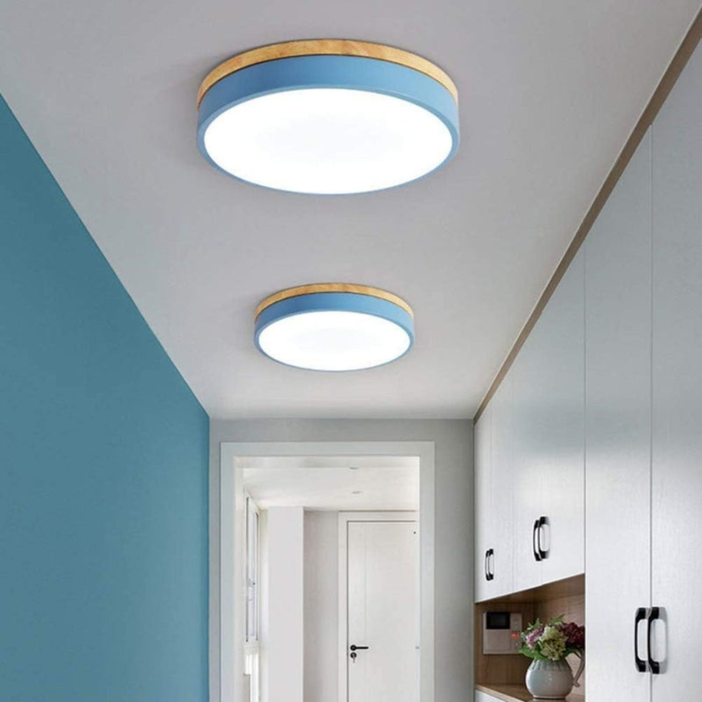Flush Mount Ceiling Light Round Disc Design for Modern Interiors