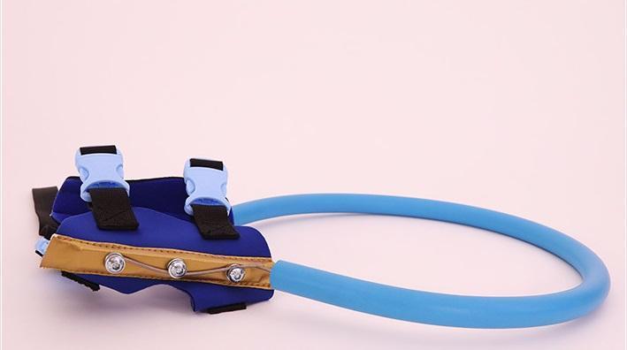 Blind Dog Mobility Aid Protective Bumper Guidance Collar