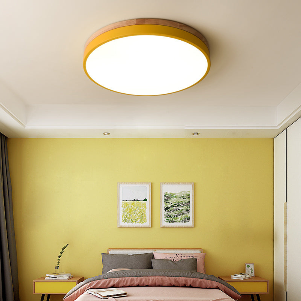 Flush Mount Ceiling Light Round Disc Design for Modern Interiors