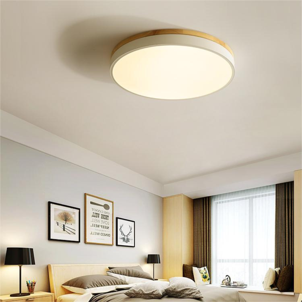 Flush Mount Ceiling Light Round Disc Design for Modern Interiors