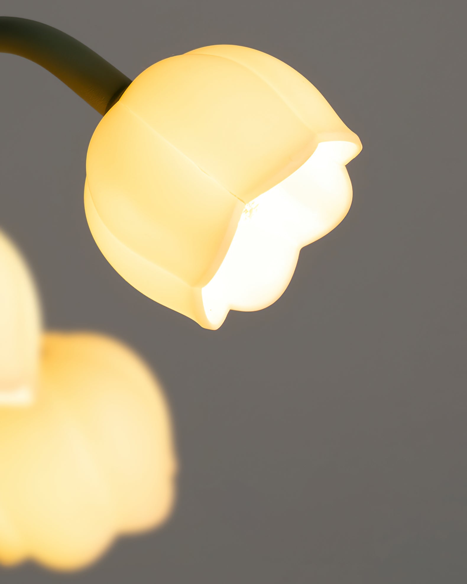 Modern Bell Orchid Table Lamp Cozy Indoor Decorative Light