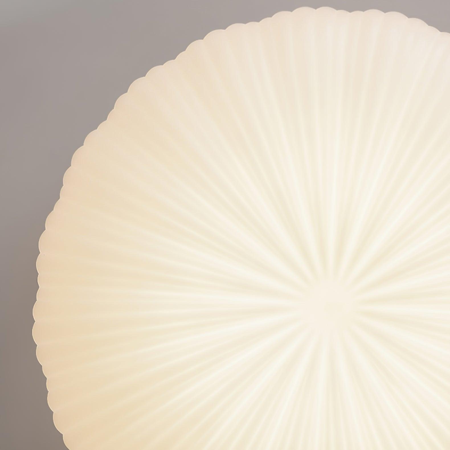 Remote Controlled Living Room LED Ceiling Light