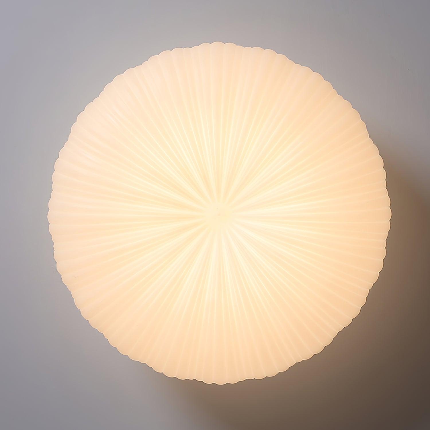 Remote Controlled Living Room LED Ceiling Light