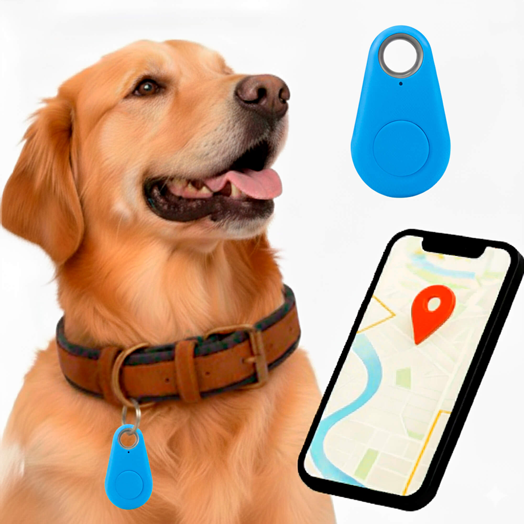 Pet GPS Tracker No-Subscription Real-Time Location for Dogs