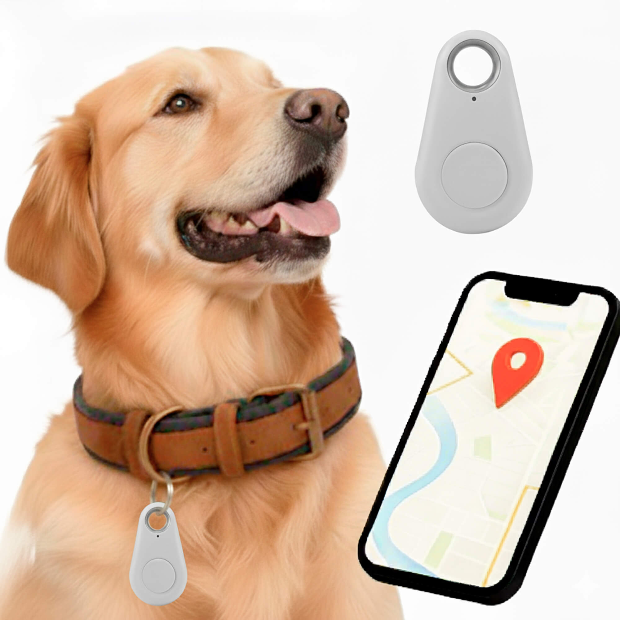 Pet GPS Tracker No-Subscription Real-Time Location for Dogs
