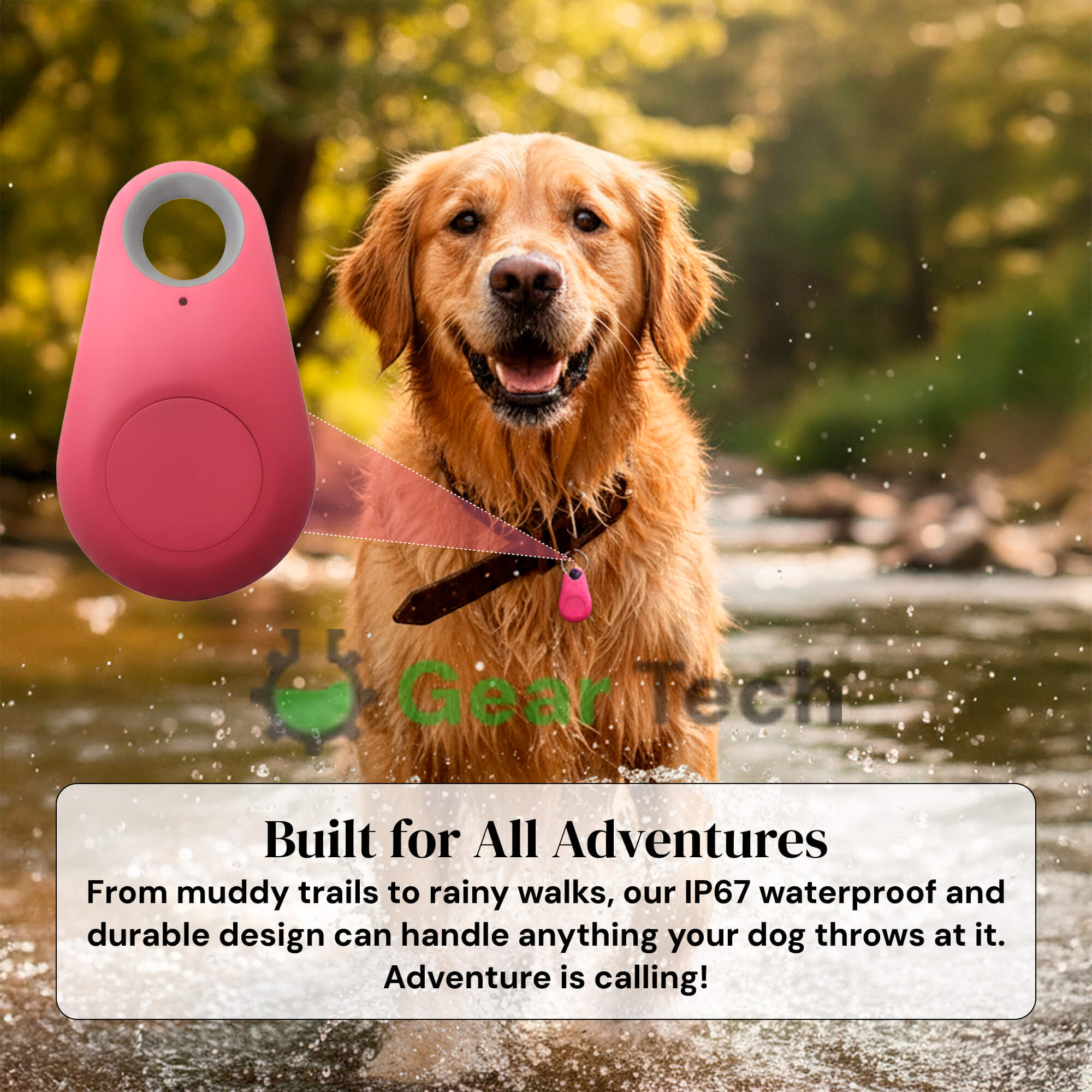 Pet GPS Tracker No-Subscription Real-Time Location for Dogs