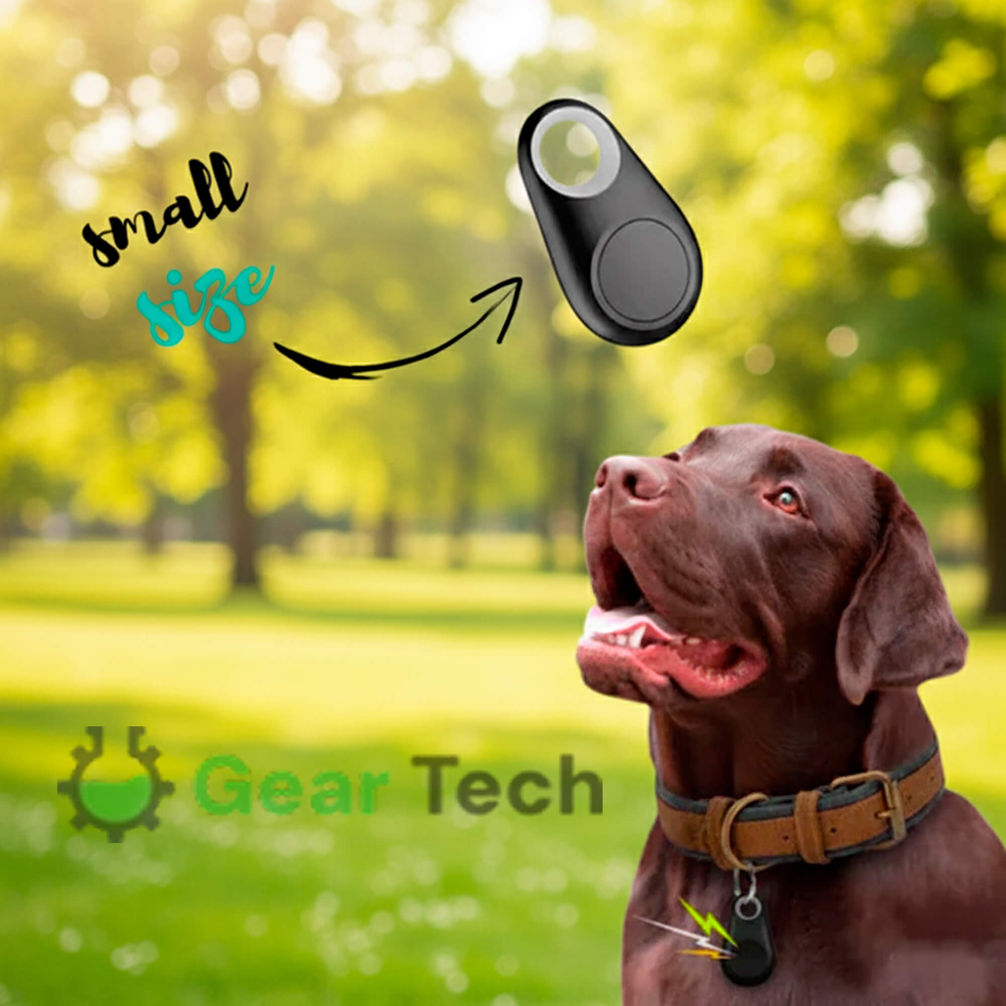 Pet GPS Tracker No-Subscription Real-Time Location for Dogs