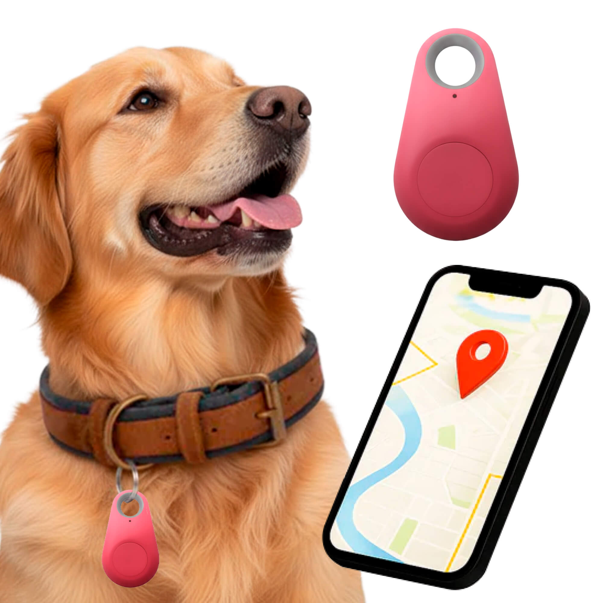 Pet GPS Tracker No-Subscription Real-Time Location for Dogs