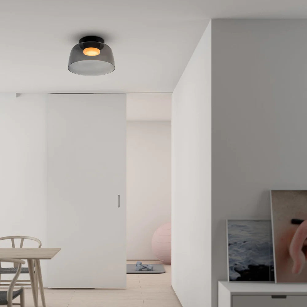 Nordic Morandi Ceiling Light Contemporary Flush Mount Lamp for Home Interiors