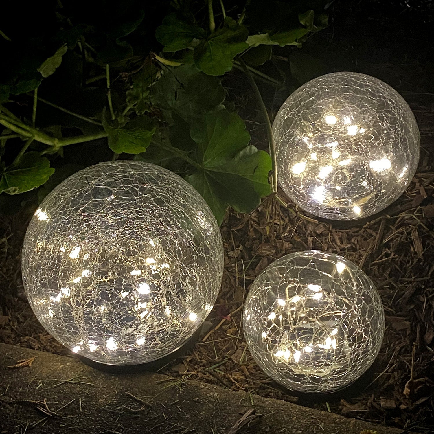 Glass solar lamp with fairy lights