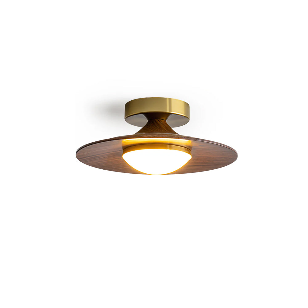 Modern Ceiling Light Elegant LED Flush Mount