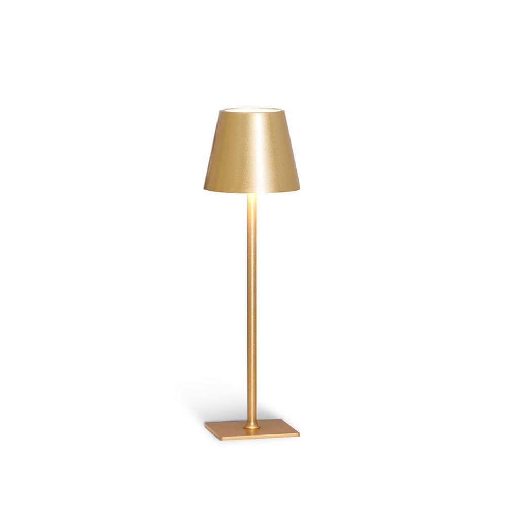Portable LED Table Lamp Dimmable Metal Light for Indoor & Outdoor Use