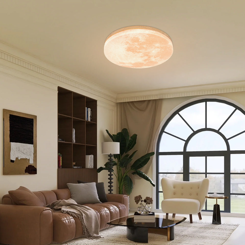 Modern Moonlight Ceiling Light LED Flush Mount