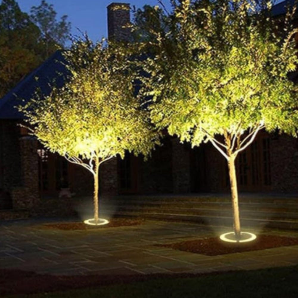 LED Tree Spotlights – Elegant Outdoor Landscape Lighting