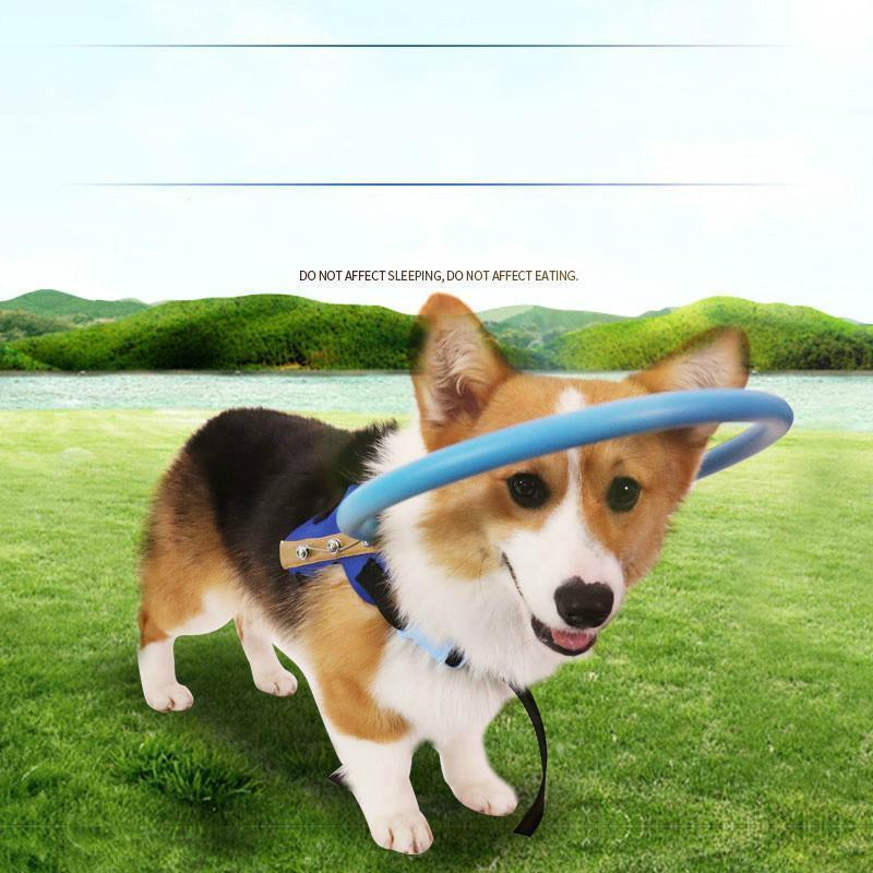 Blind Dog Mobility Aid Protective Bumper Guidance Collar